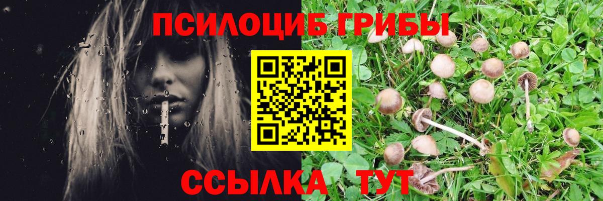 Галлюциногенные грибы мухоморы Обь