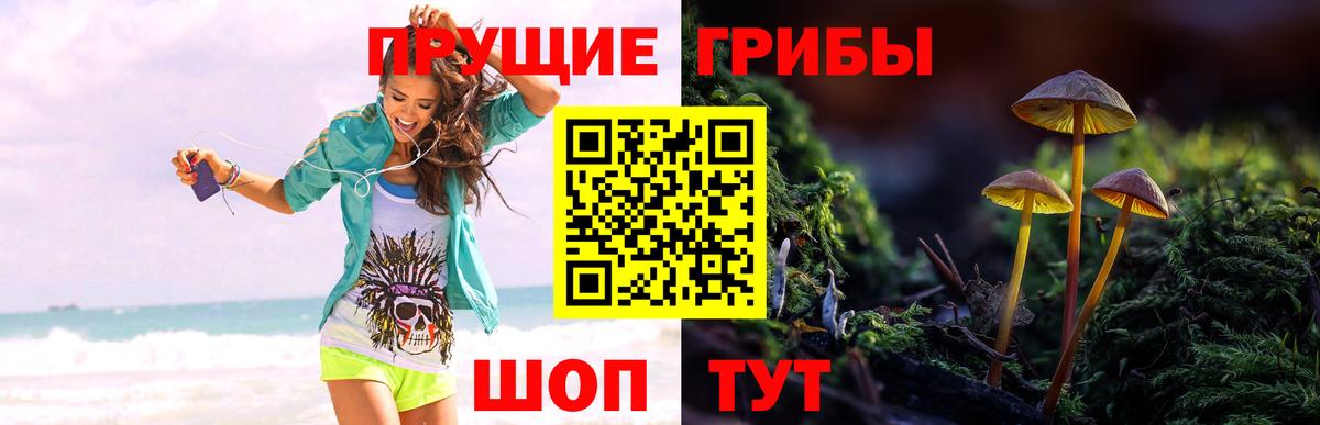 Обь  Псилоцибиновые грибы GOLDEN TEACHER  Галлюциногенные грибы прущие грибы  Вход с VPN 